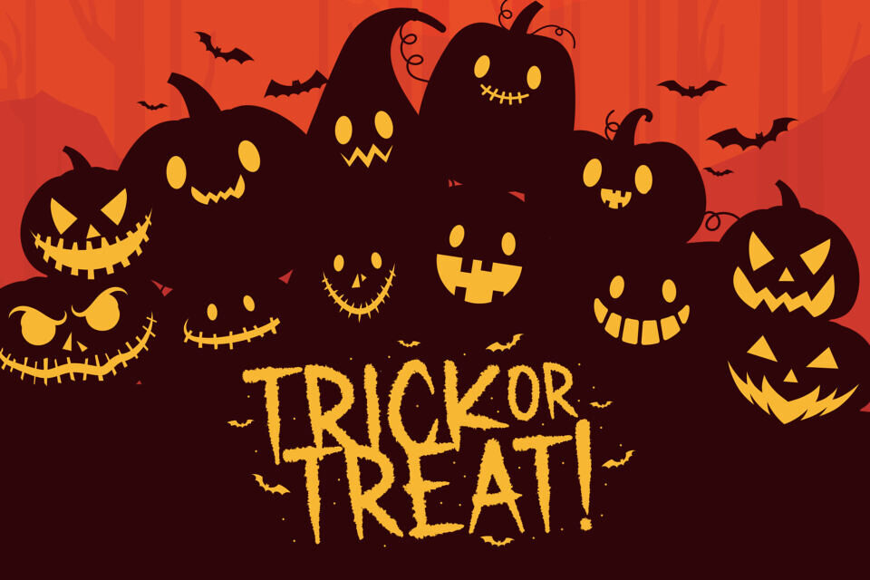 Gecko Moria Font