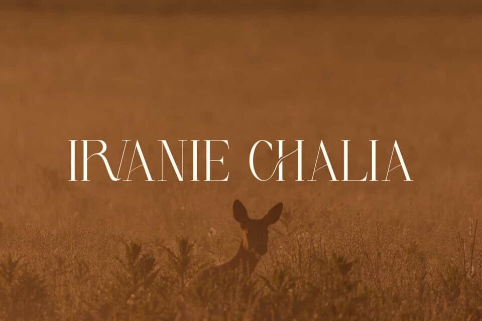 Irvanie Chalia Font