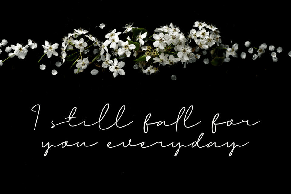 Katheriny Signature Font