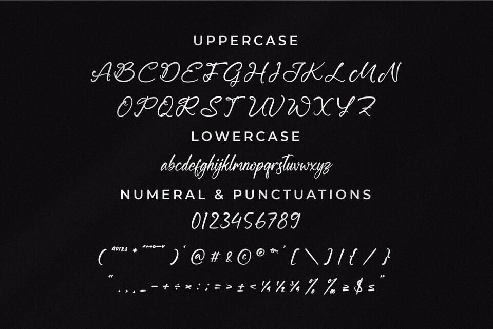 Magnetta Wettney Font