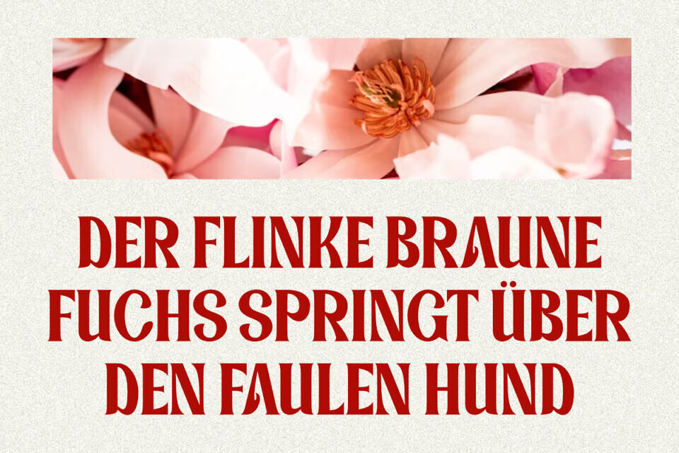 Magnolie Font