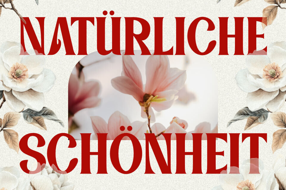 Magnolie Font
