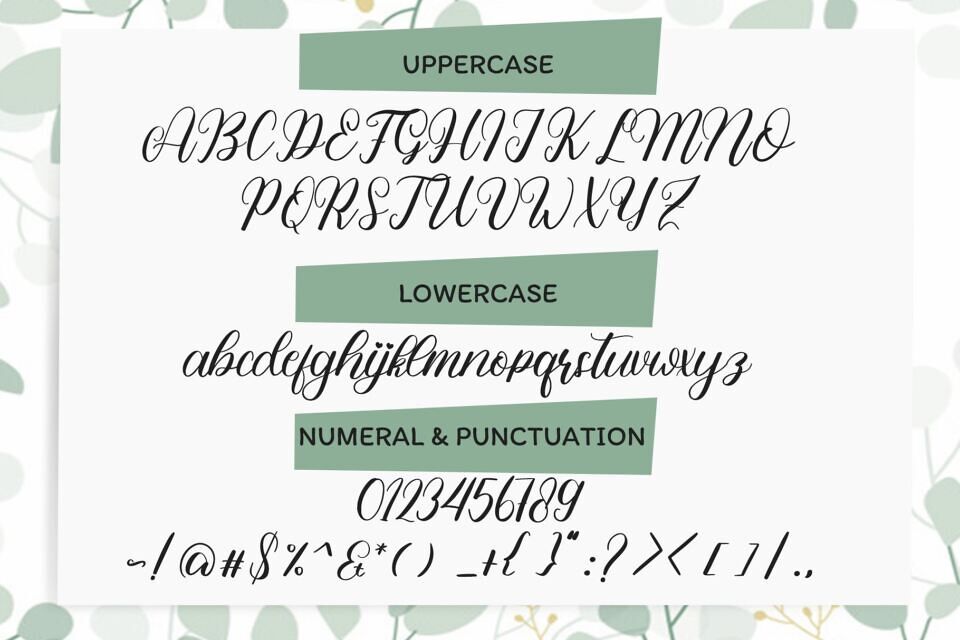 My Ilona Font