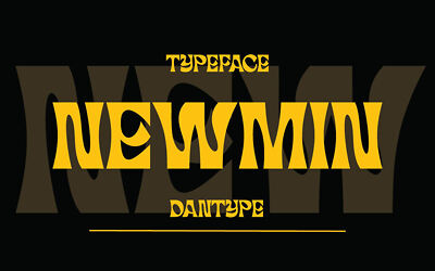Newmin Font