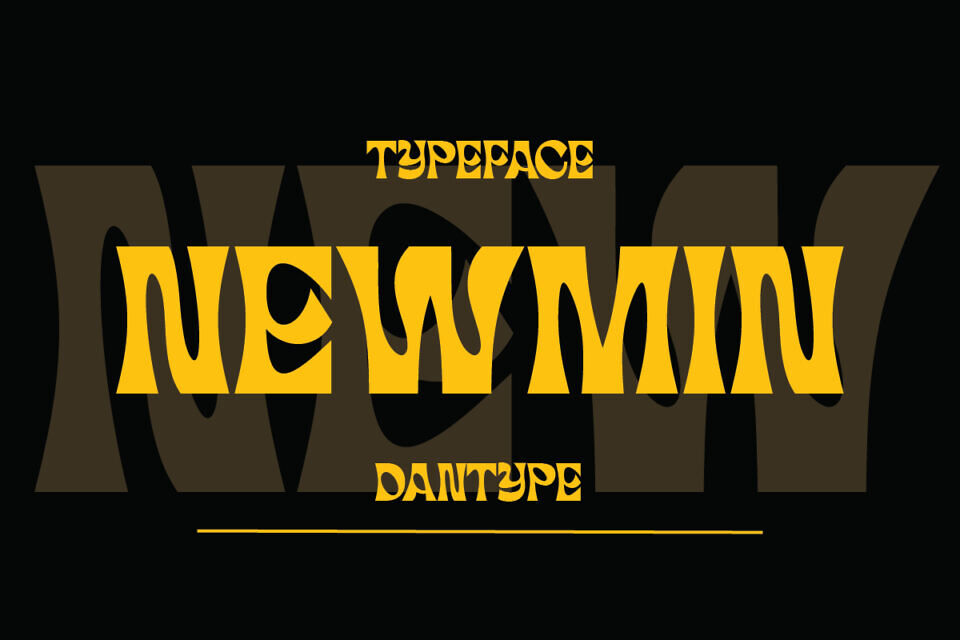 Newmin Font