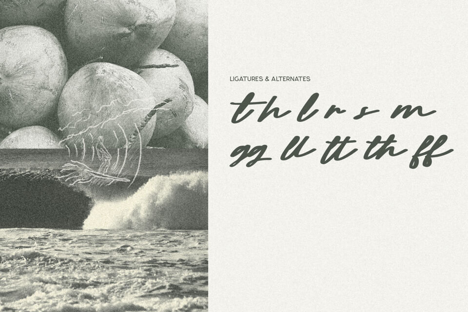 Pamlla Font