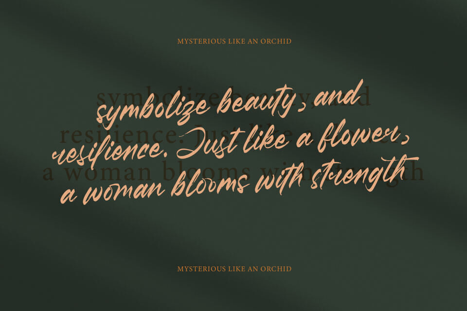 Pluretta Vintage Font