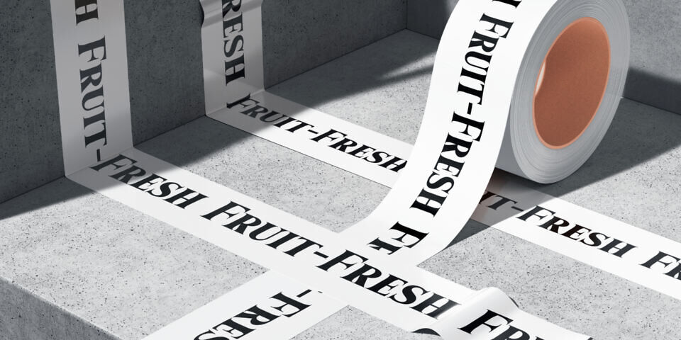 Quelque Font