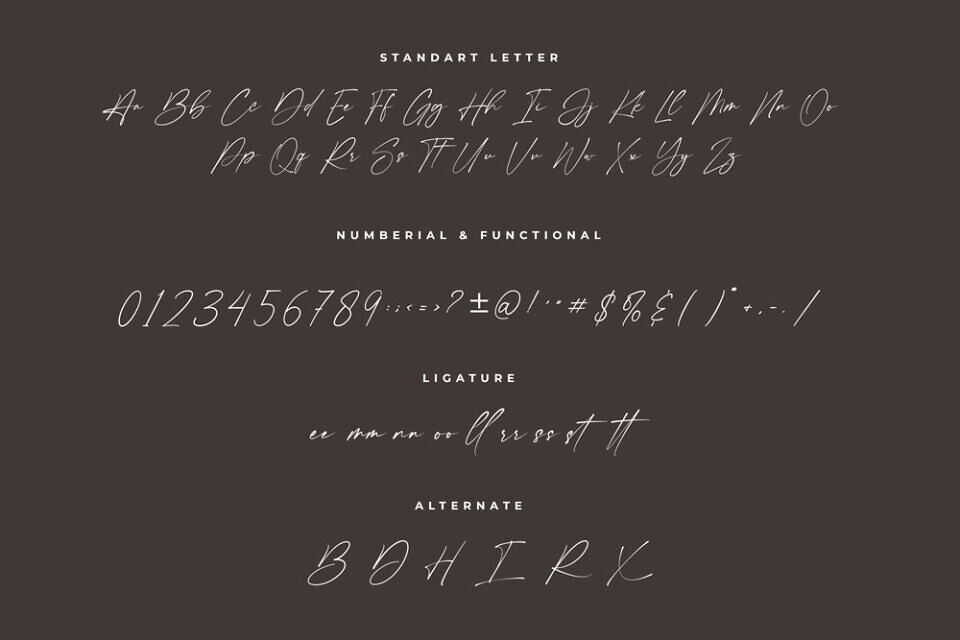 Shamson Signature Font