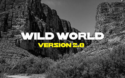 Wild World Font