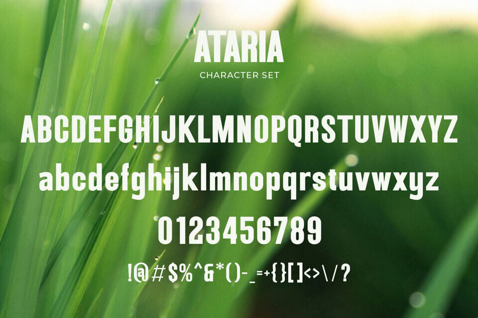 Ataria Font