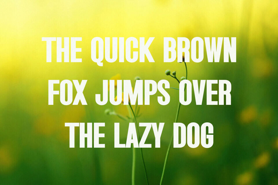 Ataria Font