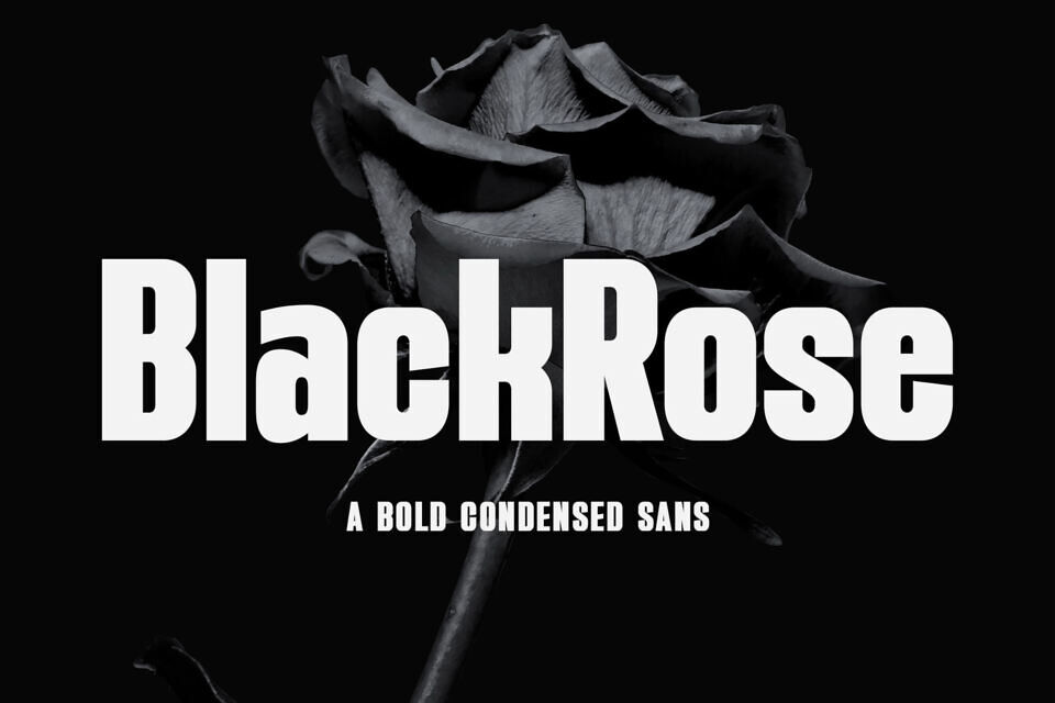 BlackRose Font