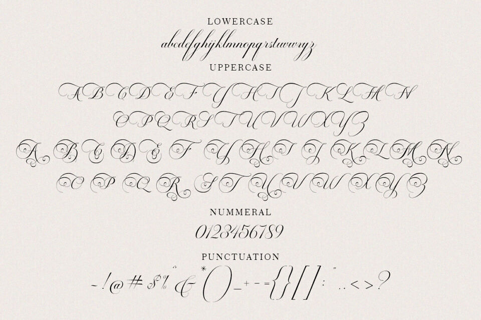 Blissful Script Font