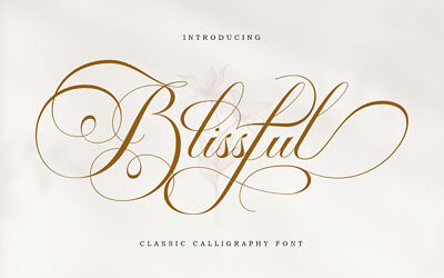 Blissful Script Font