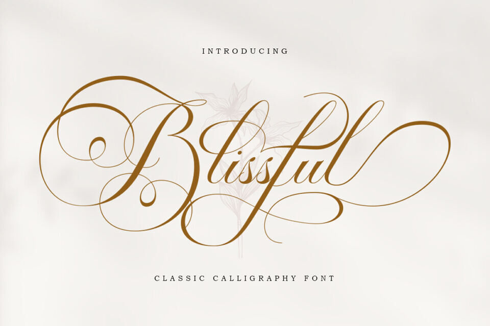Blissful Script Font