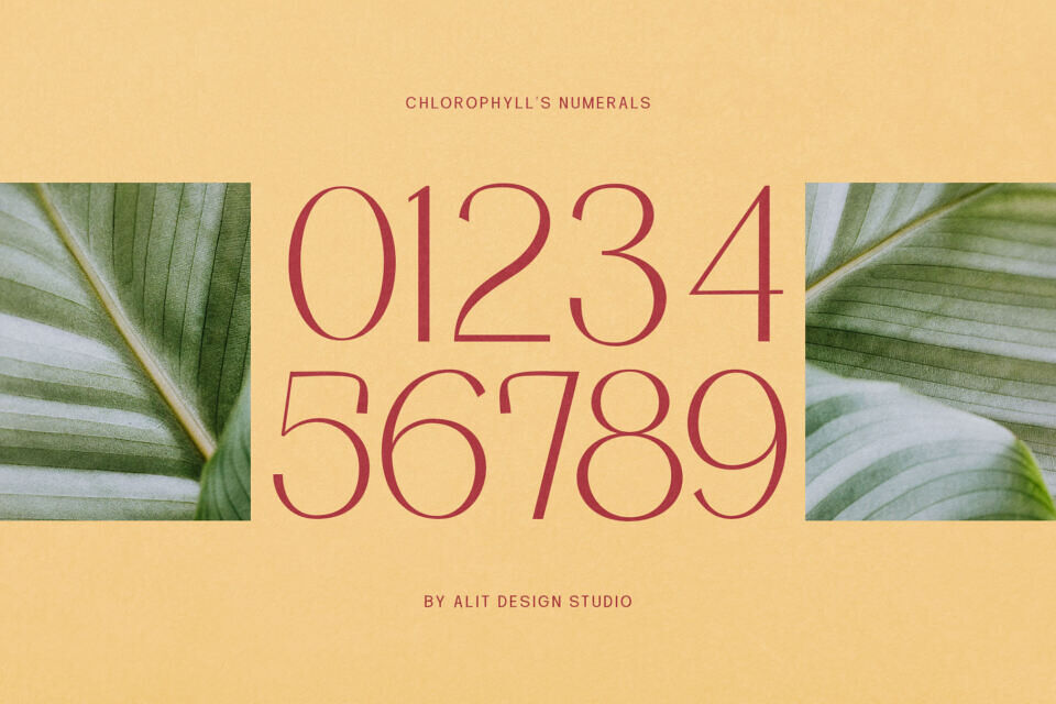 Chlorophyll Font