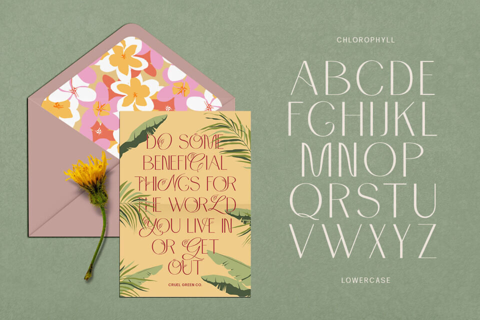 Chlorophyll Font