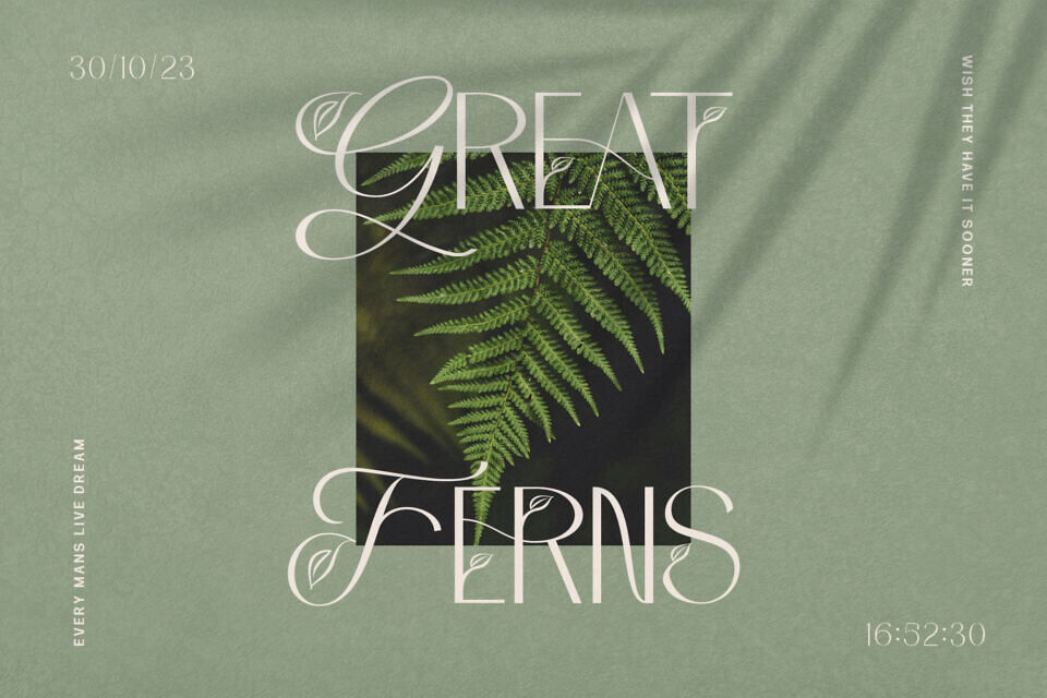 Chlorophyll Font