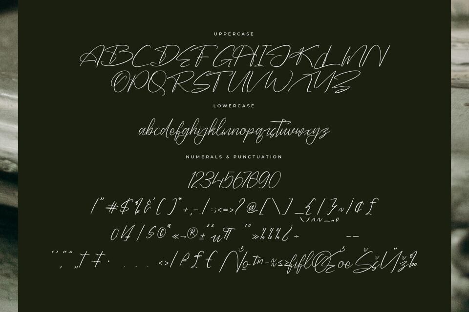 Danymeka Font