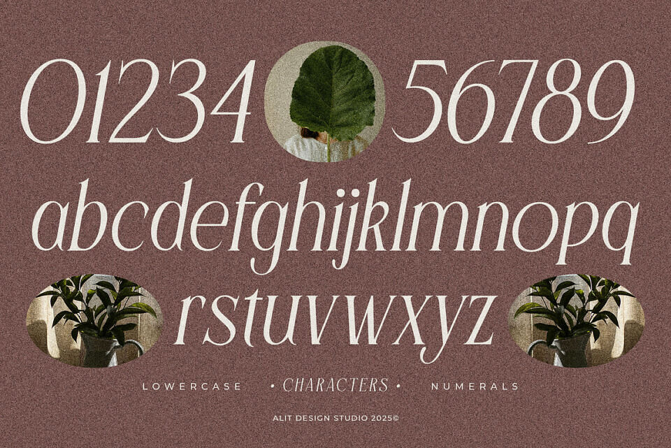 Flyhayer Font