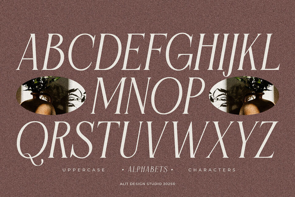 Flyhayer Font