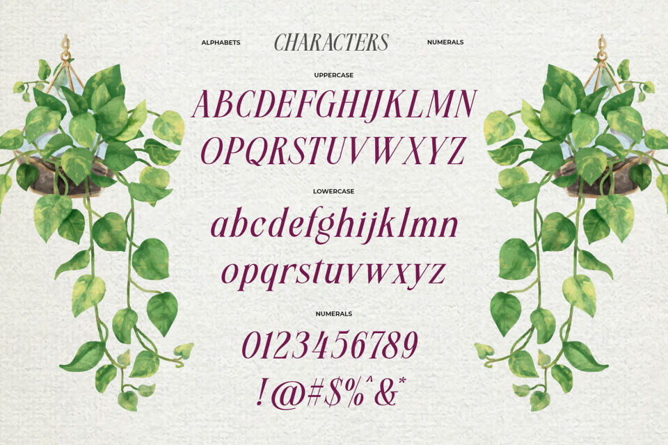 Meillona Font