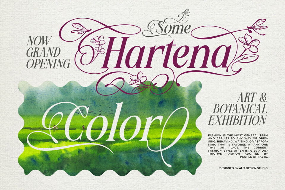Meillona Font
