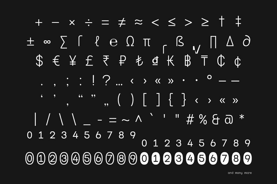 Naru Mono Font
