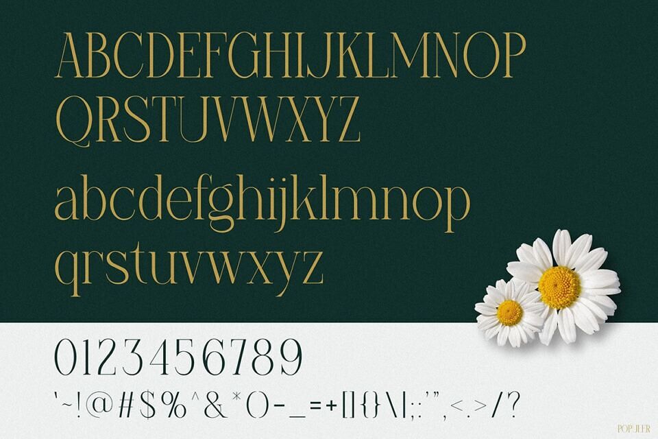 Populer Font