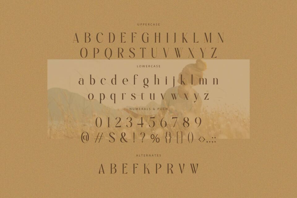 Regie Font
