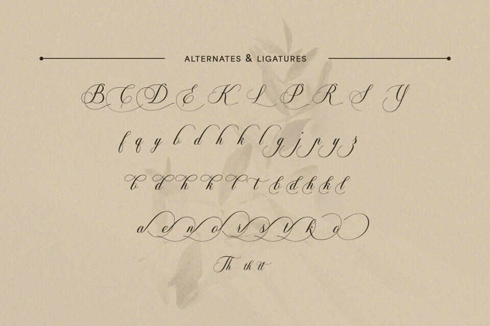 Soralize Font