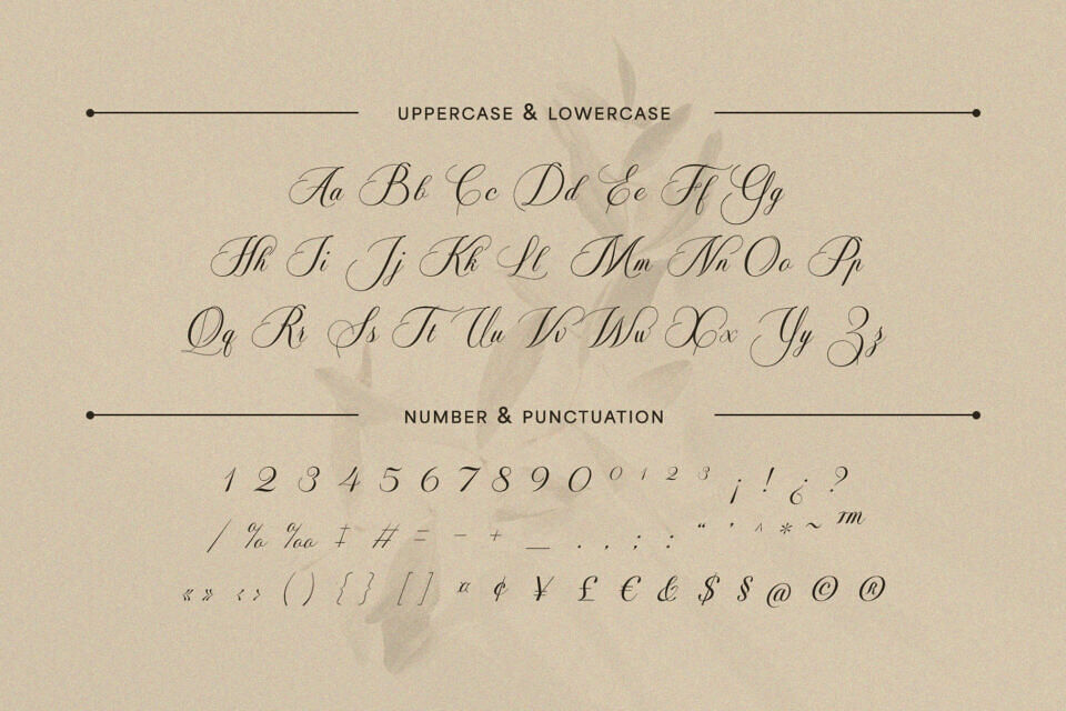 Soralize Font