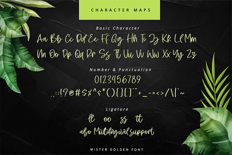 Stay Feeling Font