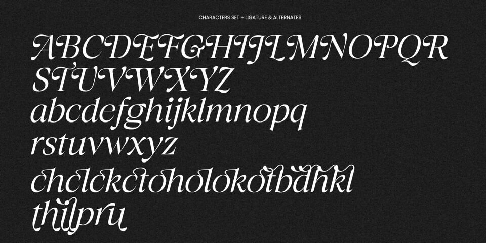 Taylor Belle Font