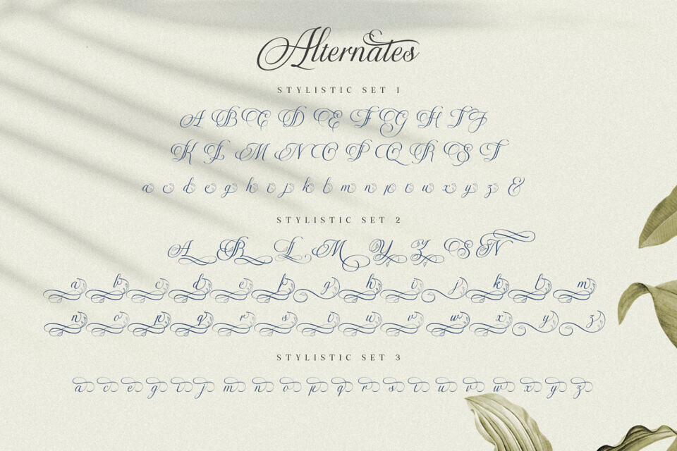 Virnature Font