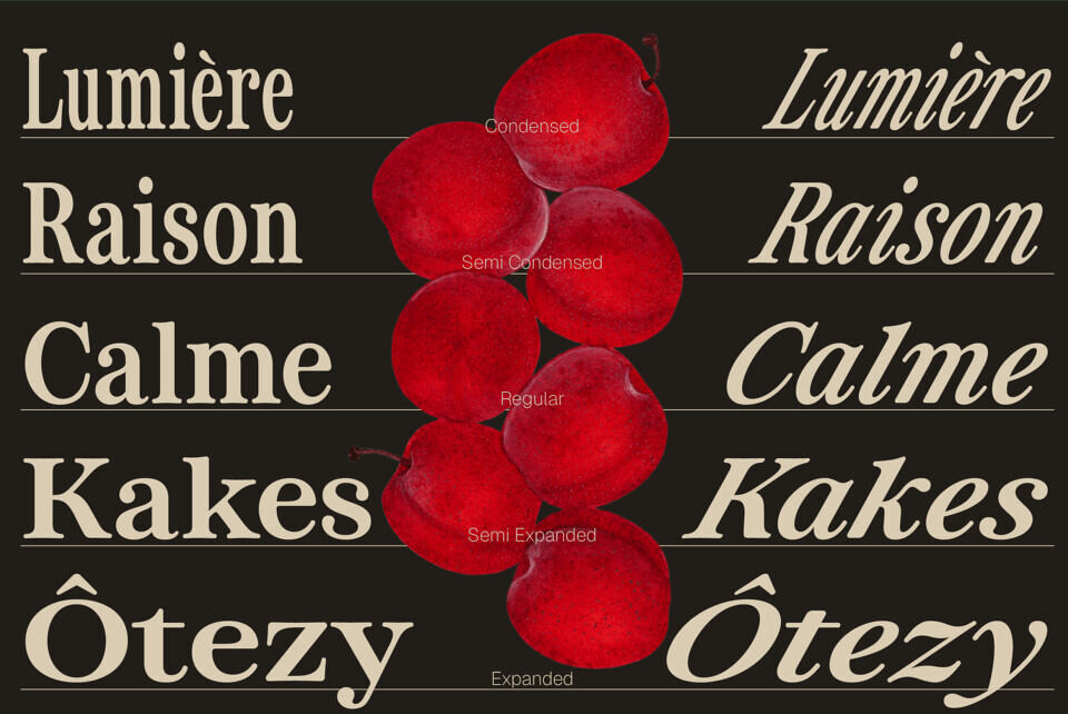 ZT Otez Font