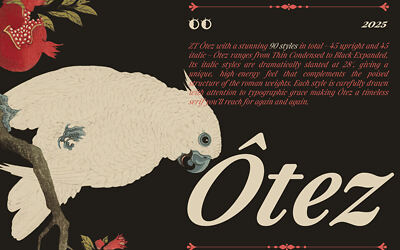 ZT Otez Font