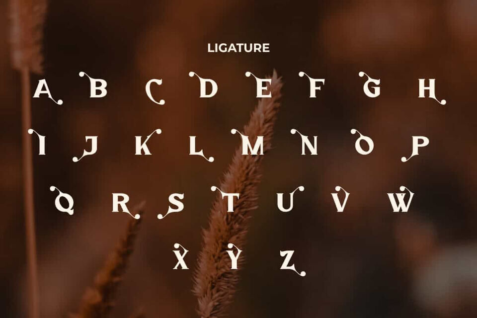 Amorye Font
