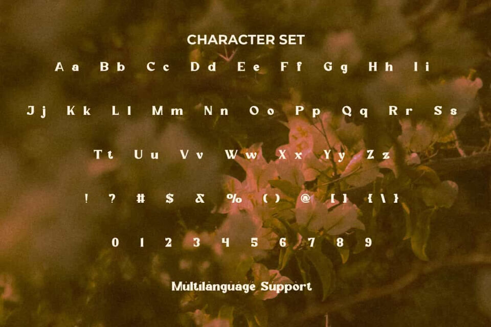 Amorye Font