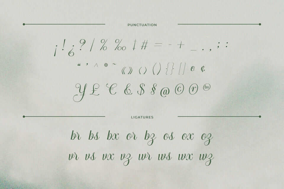 Arachis Font