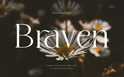 Braven Font