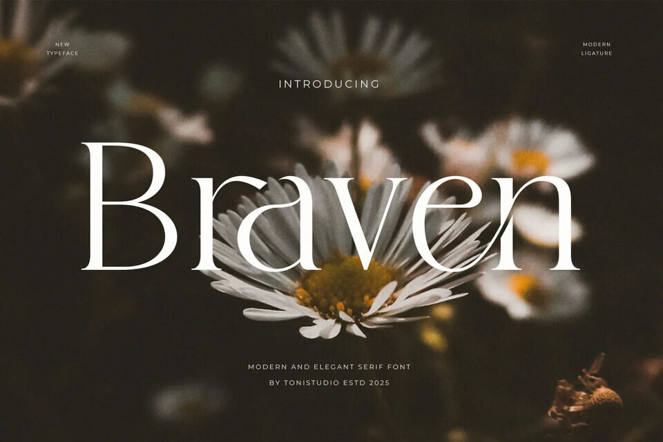 Braven Font