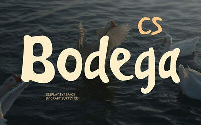 CS Bodega Font