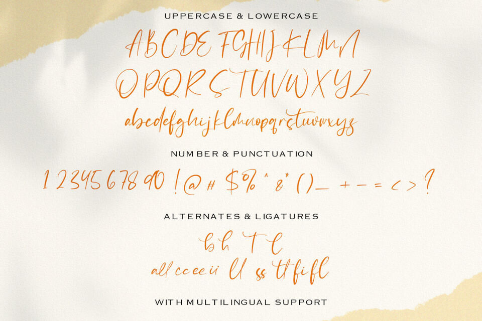 Catthy Wellingten Font