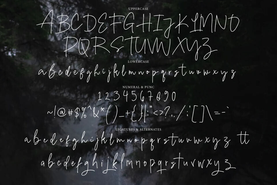 Cimond Signature Font