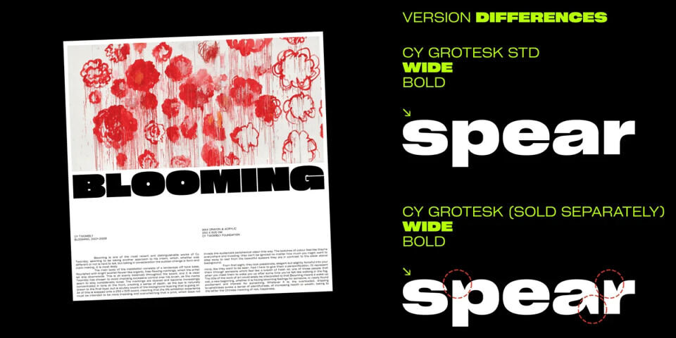 Cy Grotesk Std Font