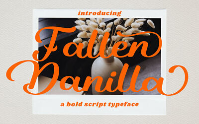 Fallen Danilla Font