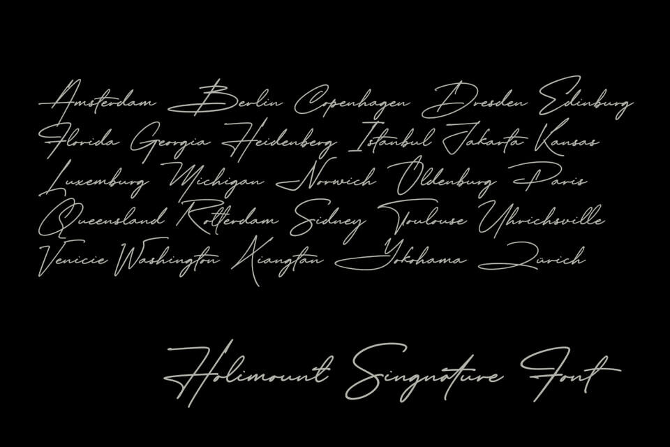 Holimount Font