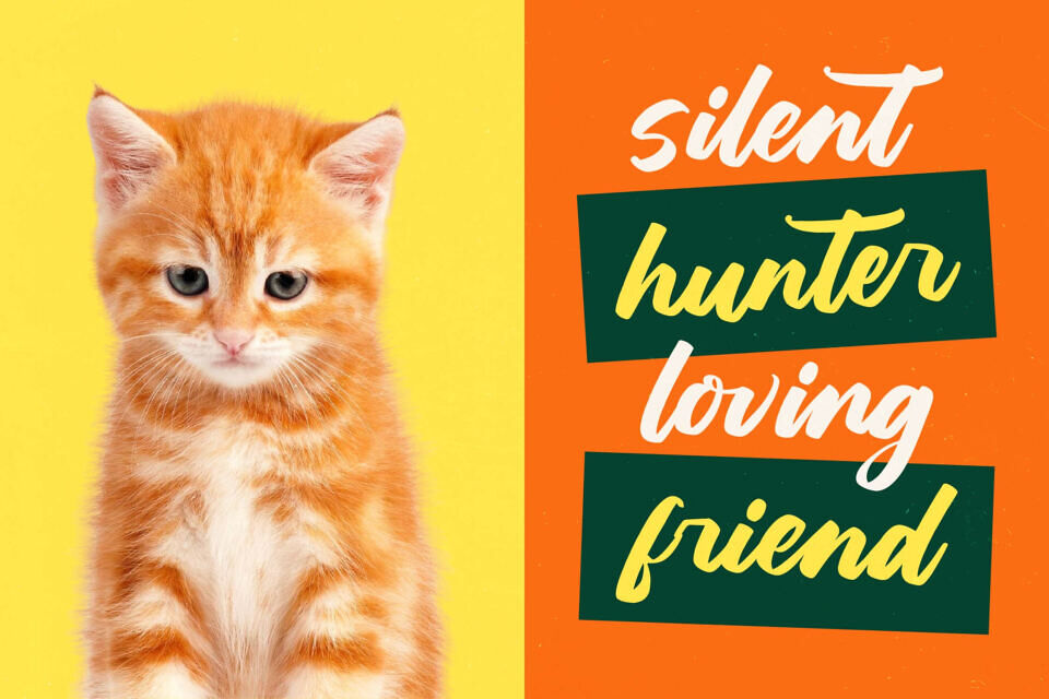 Hunting Gather Font